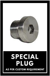 Special Plugs-300x450